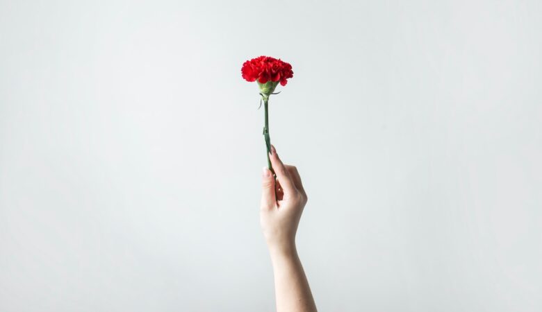 right person's hand holding flower